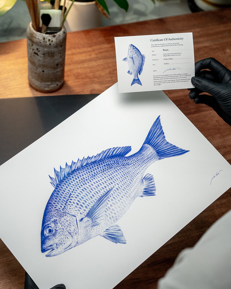 Bream Art Print