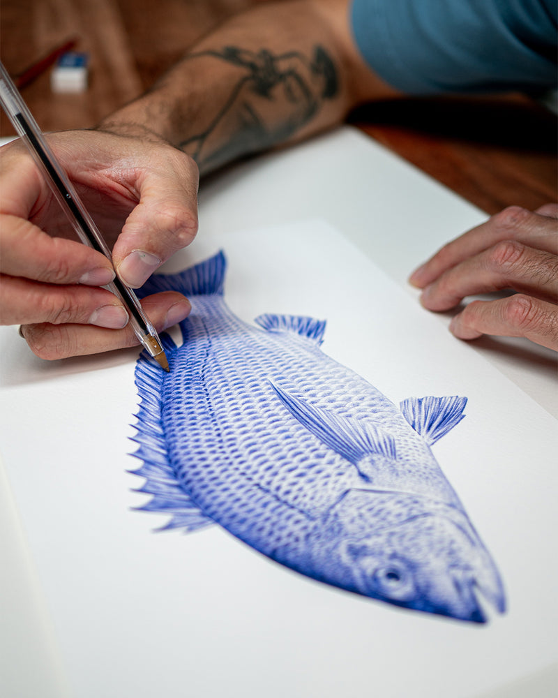 Bream Art Print