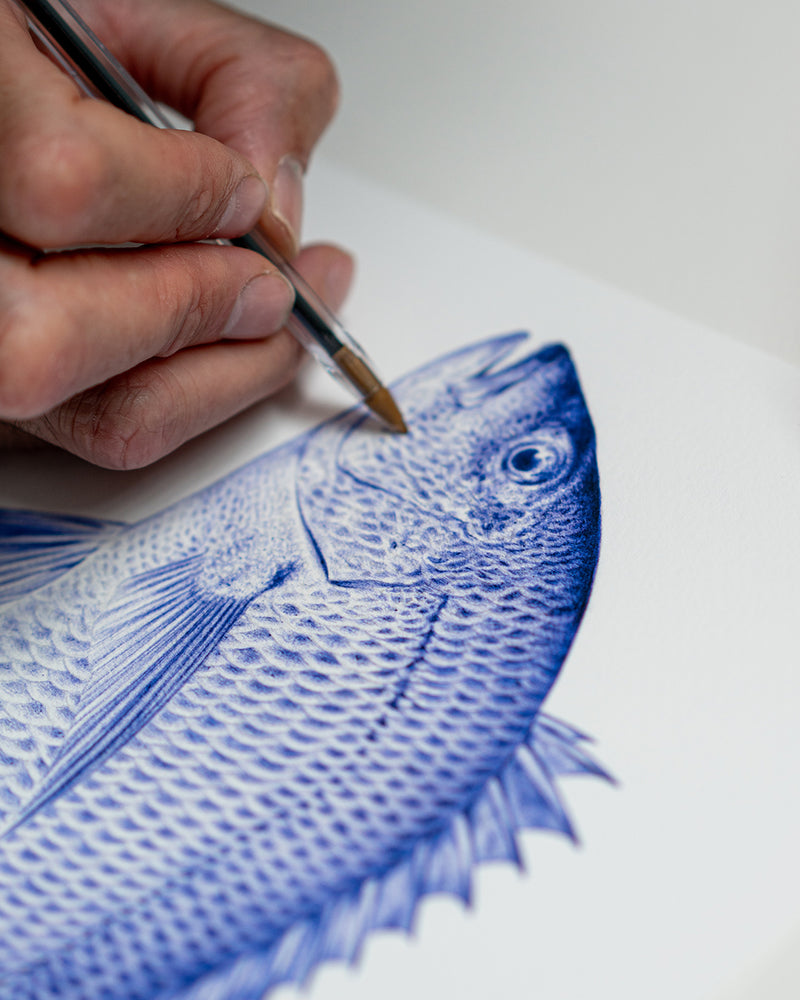 Bream Art Print