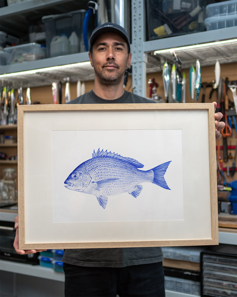 Bream Art Print