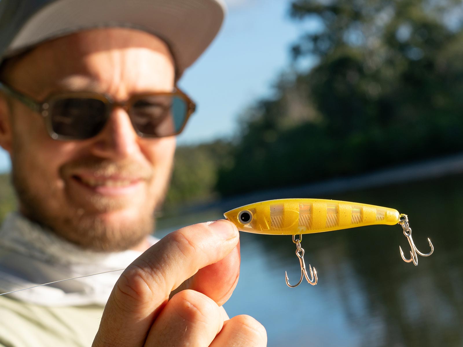 Introducing the Lotus