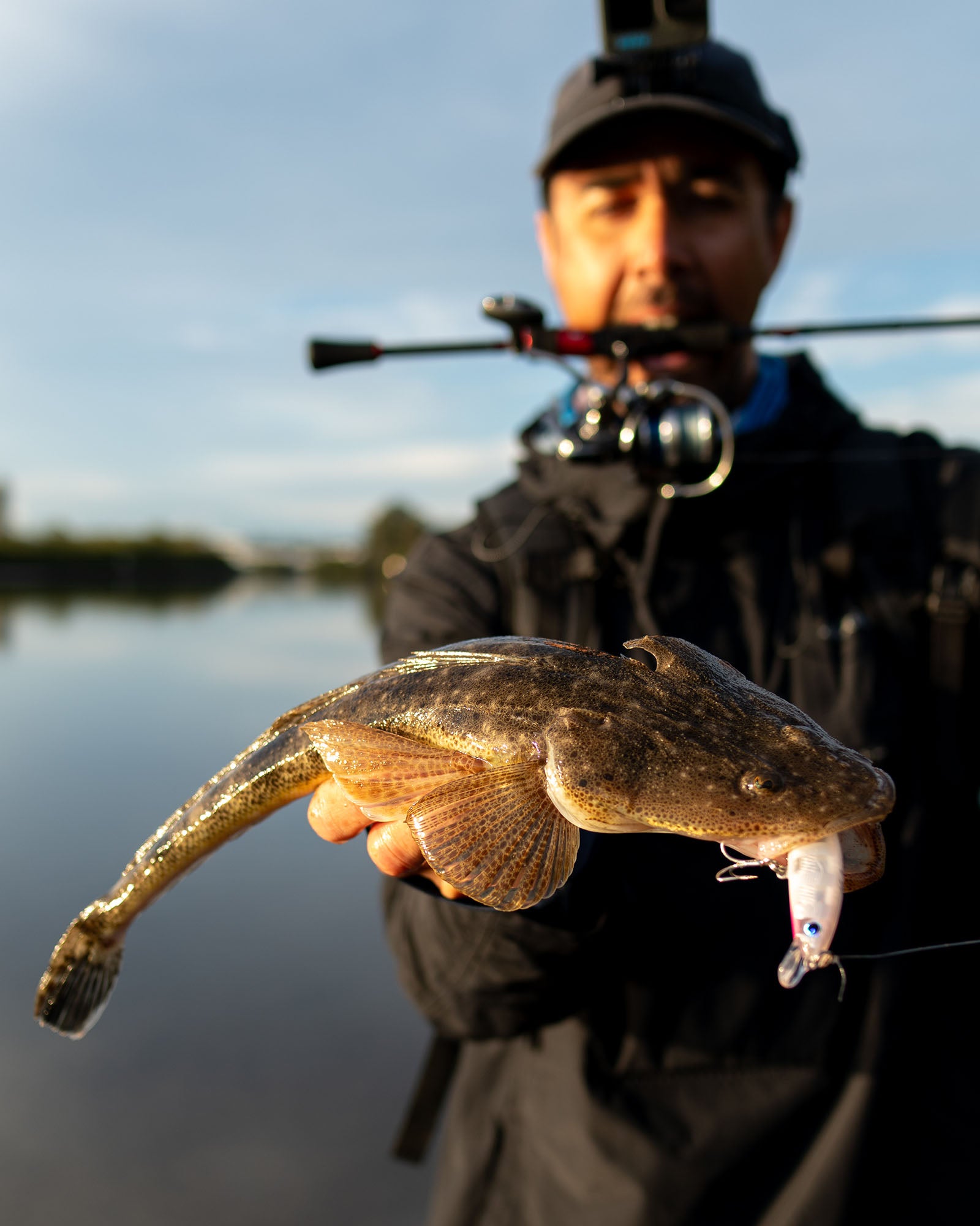 Minion | Micro Shallow Minnow — Malosi – Malosi Studio