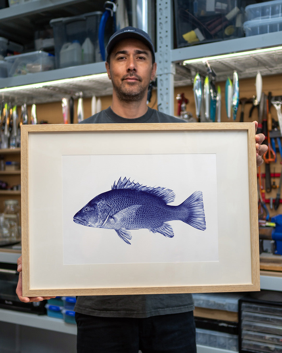 Mangrove Jack Art Print