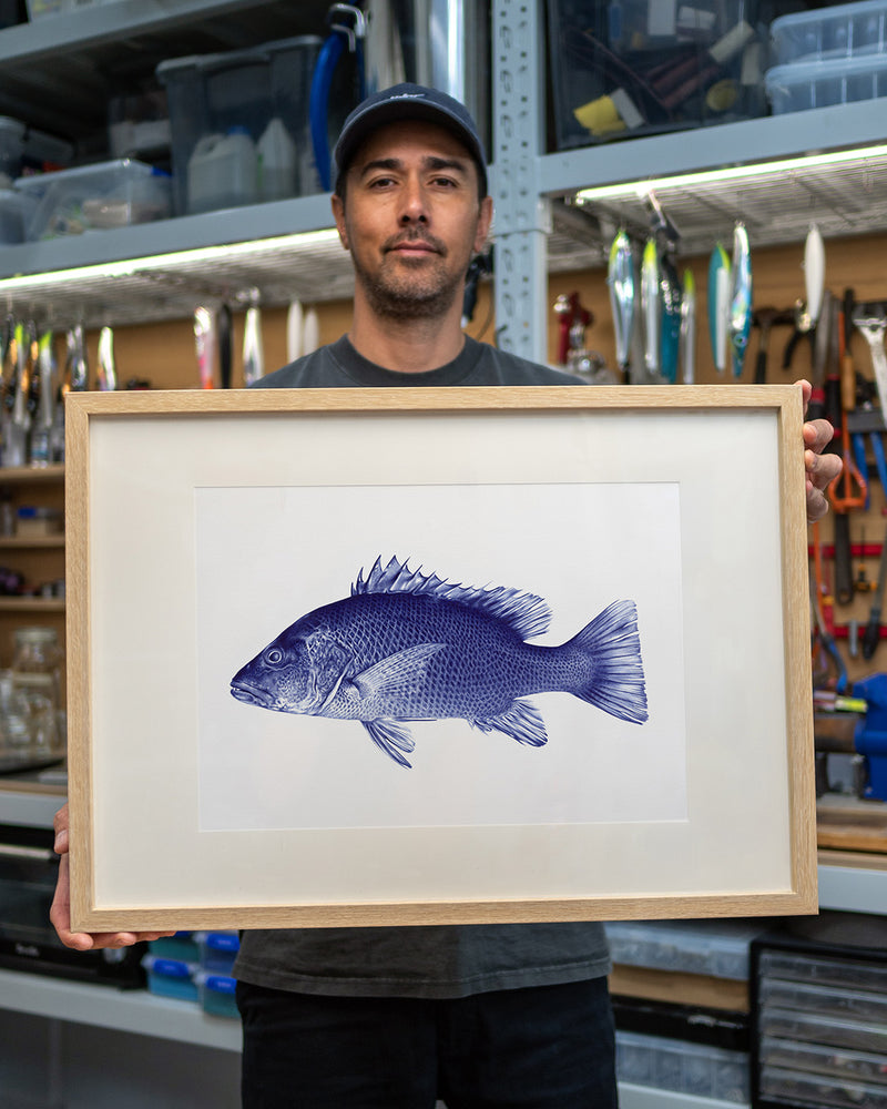 Mangrove Jack Art Print