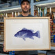 Mangrove Jack Art Print
