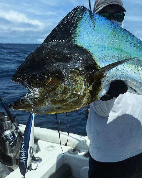 Chieftain | Floating Stickbait — Malosi – Malosi Studio