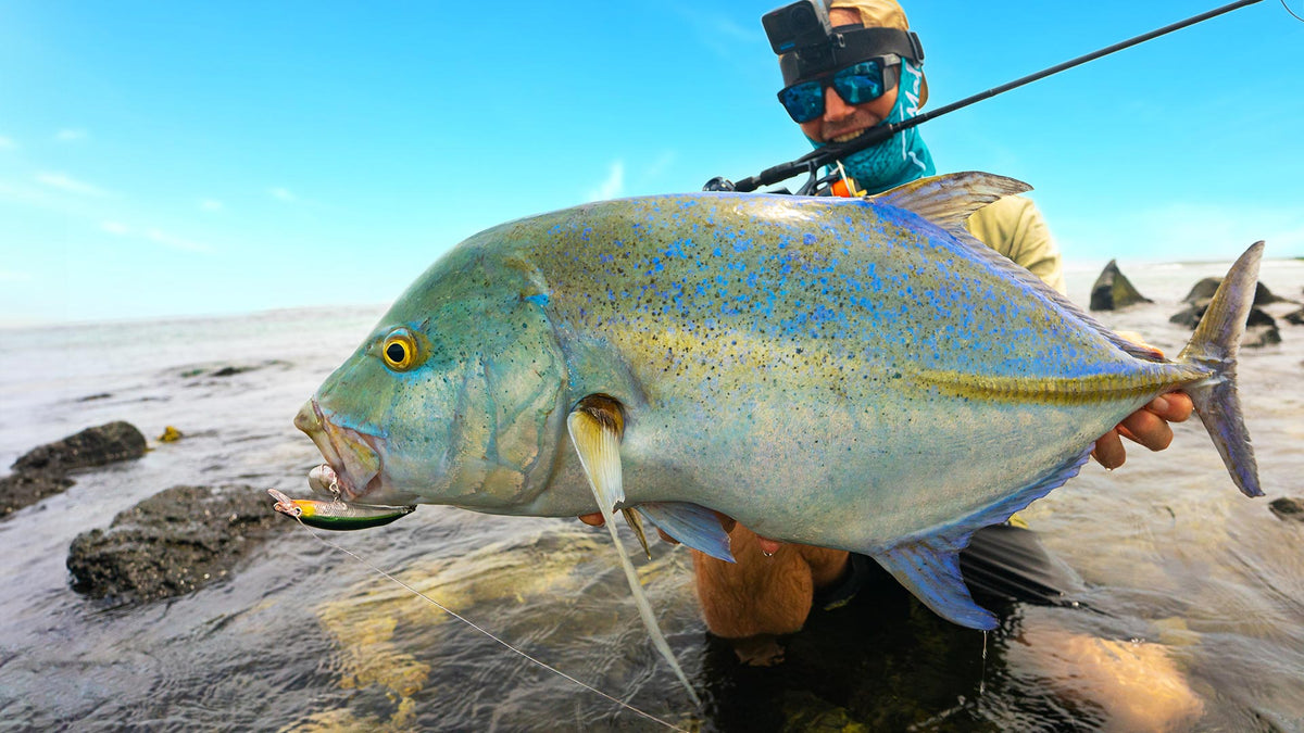 Minion | Micro Shallow Minnow — Malosi – Malosi Studio