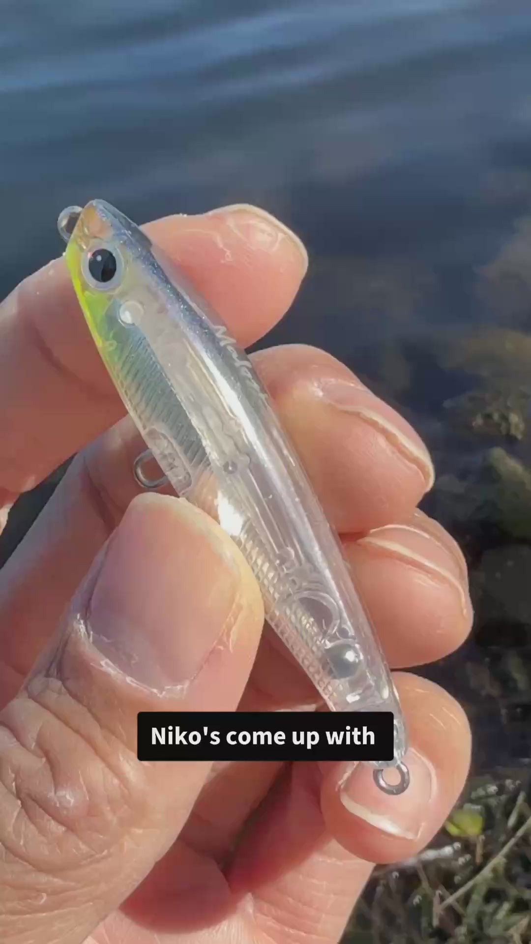 Echo 80F — Colours (poster)