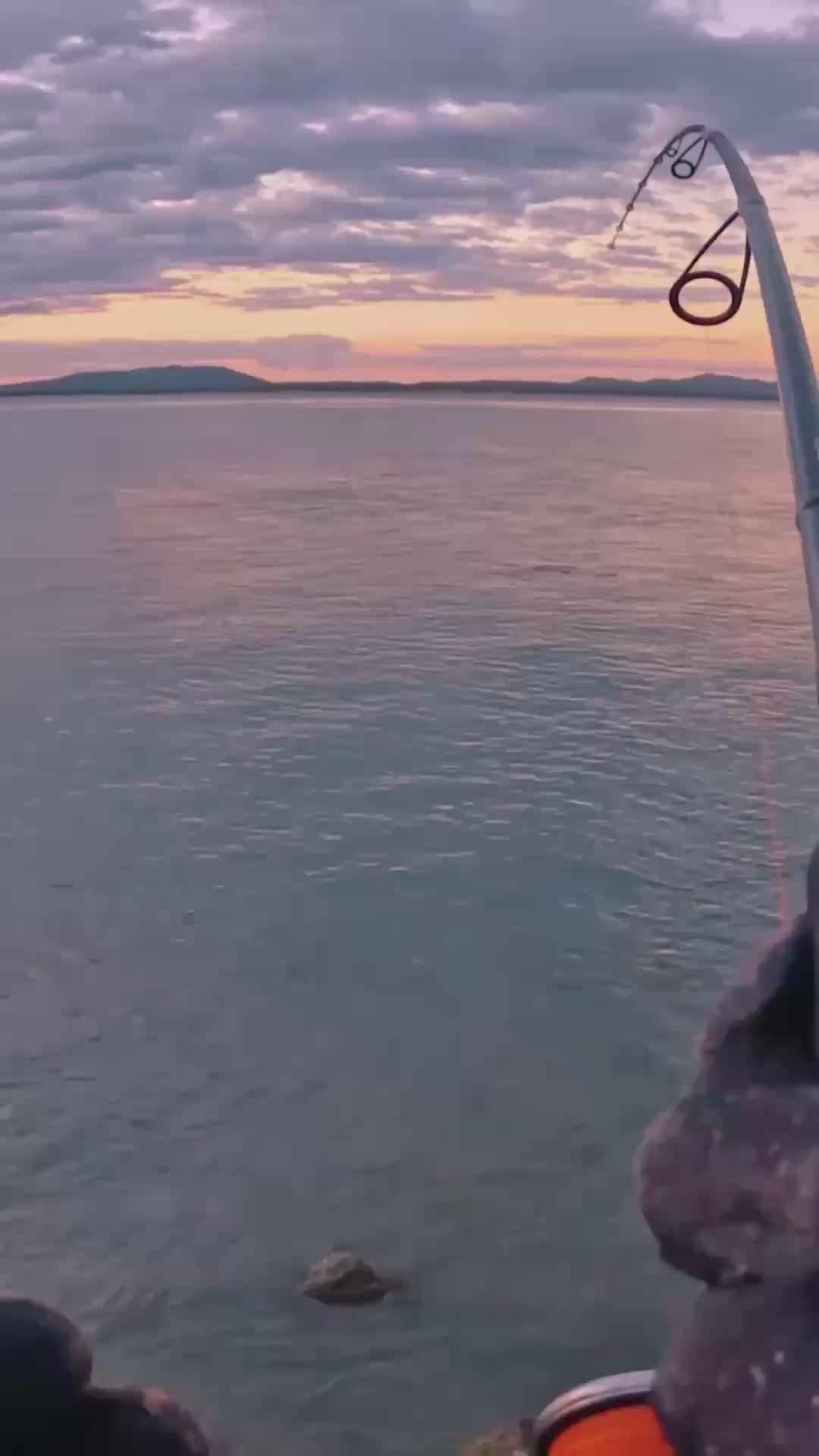 Echo 80F — Target Fish (poster)